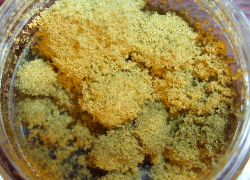 Kief, Kif o Kifi, ¿que es este producto de cannabis?